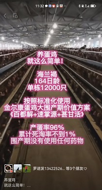 164䵥12000ֻ96%ۼԲ1%ô
